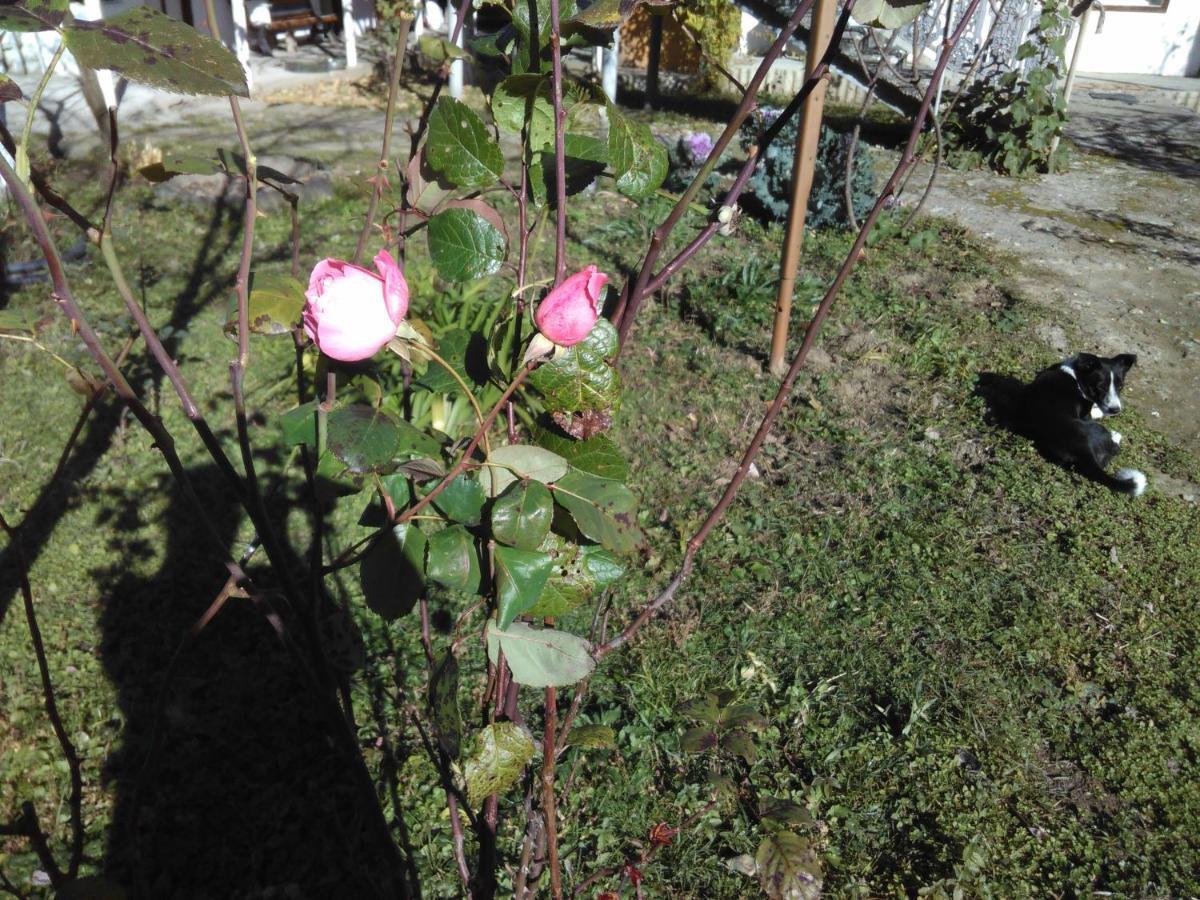 9 Plus - Orbeli Buitenkant foto