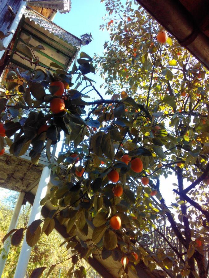 9 Plus - Orbeli Buitenkant foto