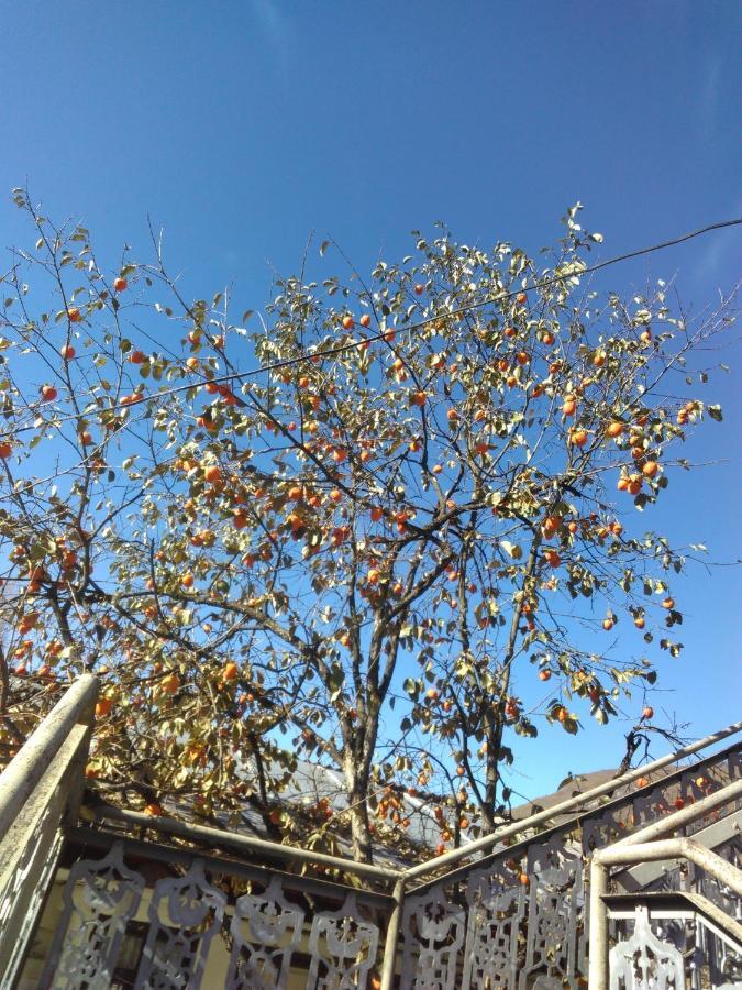 9 Plus - Orbeli Buitenkant foto